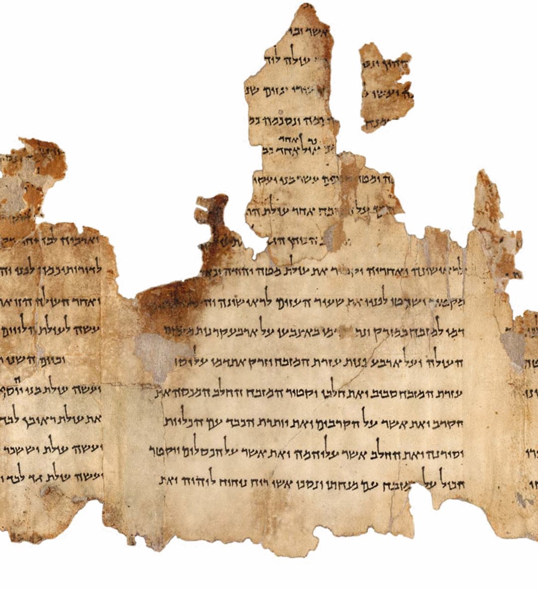 The Temple Scroll from Qumran, a pale parchment sheet with ragged edges and even lines of Hebrew.